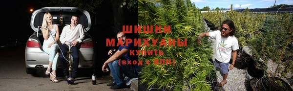 винт Алексин