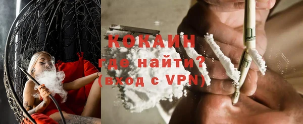 сатива Абаза