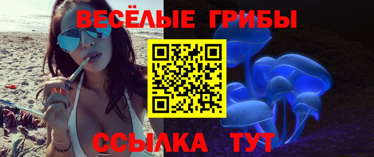Галлюциногенные грибы мицелий  Вход с VPN  Нижний Новгород 
